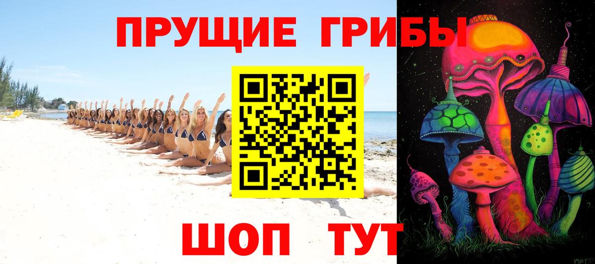 Новокуйбышевск  Псилоцибиновые грибы Psilocybe  Вход с VPN 
