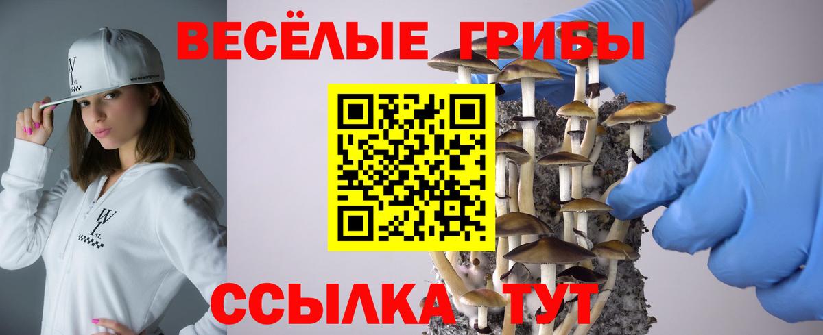 Псилоцибиновые грибы ЛСД Новокуйбышевск